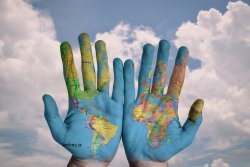 Vignette de A quoi bon être intelligents, si c’est pour détruire la vie ?