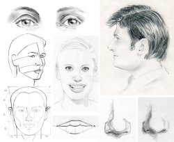 Vignette de Apprendre à dessiner n'est pas une question de don,  mais de pédagogie et de pratique.
