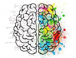 Vignette de 5 pratiques pour développer  sa concentration